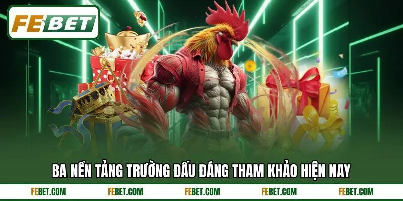 Ba nền tảng trường đấu đáng tham khảo hiện nay