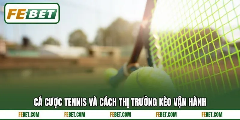 Cá cược tennis và cách thị trường kèo vận hành