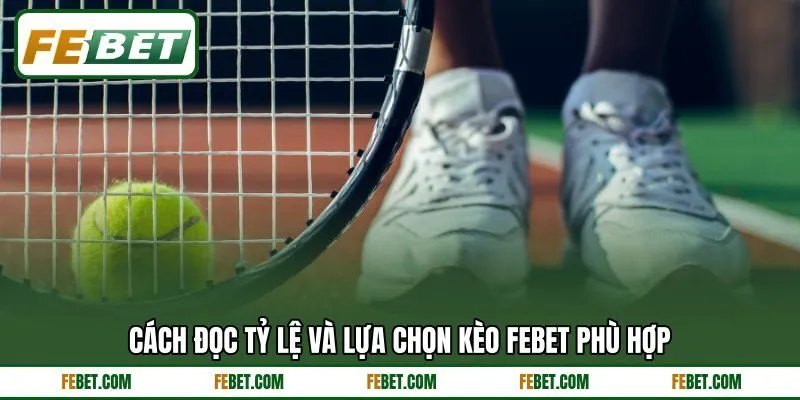 Cách đọc tỷ lệ và lựa chọn kèo FEBET phù hợp
