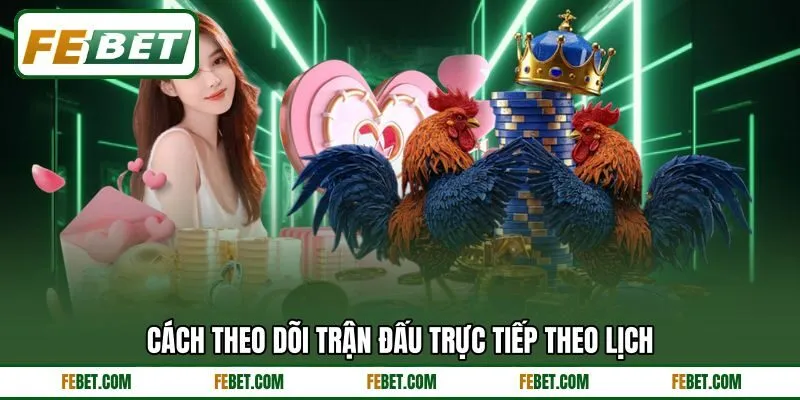 Cách theo dõi trận đấu trực tiếp theo lịch