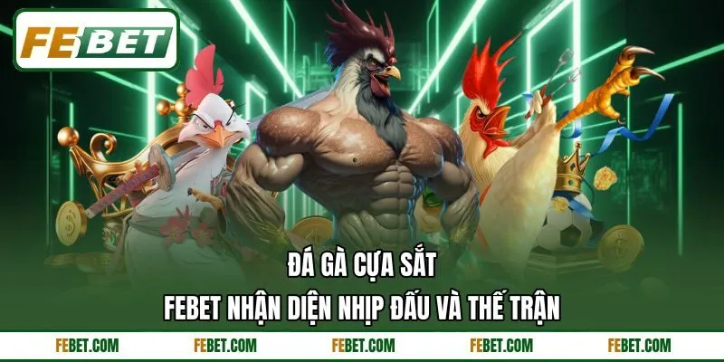 Đá Gà Cựa Sắt - FEBET Nhận Diện Nhịp Đấu Và Thế Trận
