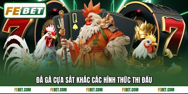 Đá gà cựa sắt khác các hình thức thi đấu