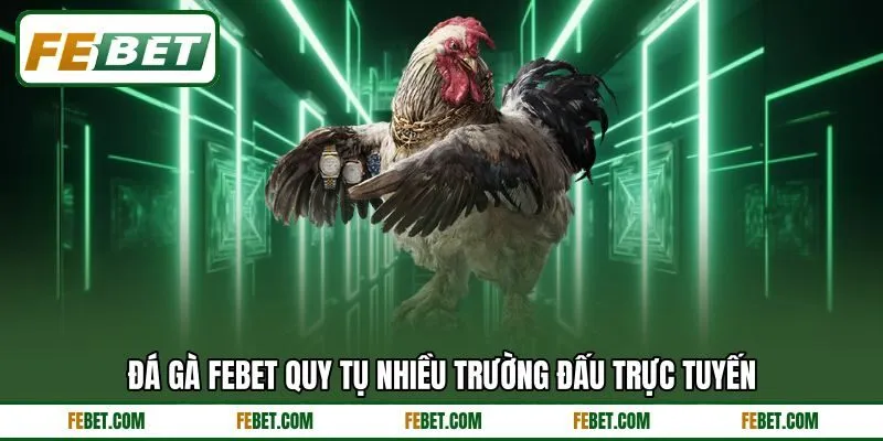 Đá gà FEBET quy tụ nhiều trường đấu trực tuyến