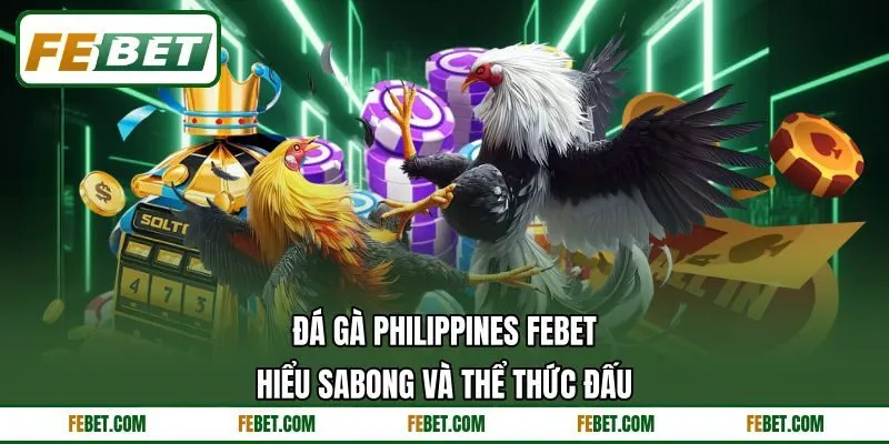 Đá Gà Philippines FEBET - Hiểu Sabong Và Thể Thức Đấu