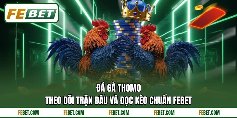 Đá Gà Thomo - Theo Dõi Trận Đấu Và Đọc Kèo Chuẩn FEBET