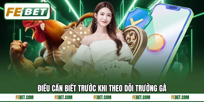 Điều cần biết trước khi theo dõi trường gà Điều cần biết trước khi theo dõi trường gà