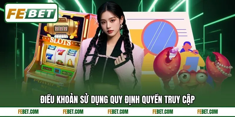 Điều khoản sử dụng quy định quyền truy cập