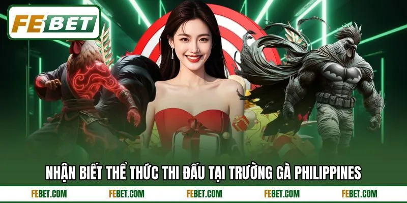 Nhận biết thể thức thi đấu tại trường gà Philippines Nhận biết thể thức thi đấu tại trường gà Philippines