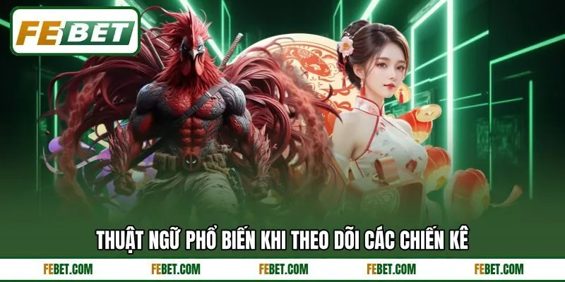 Thuật ngữ phổ biến khi theo dõi các chiến kê
